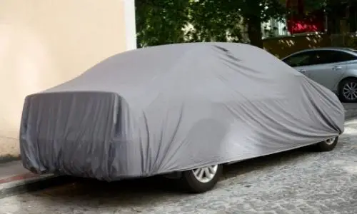 Car Cover Protection from Bird Poop